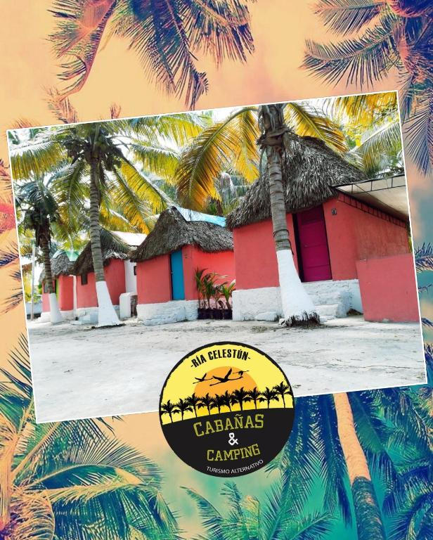 Cabañas Camping Ria Celestun - Housity