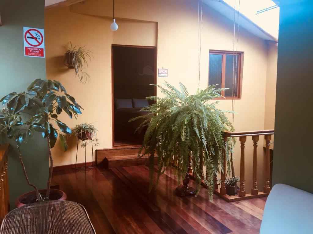 Fotografie z fotogalerie ubytování Eureka San Blas v destinaci Cuzco
