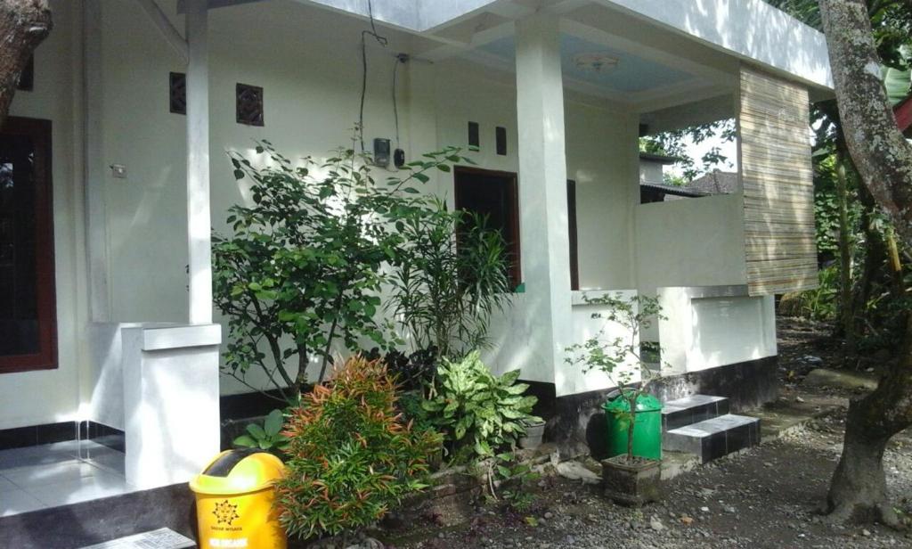 Zahrada ubytování Pedek Homestay