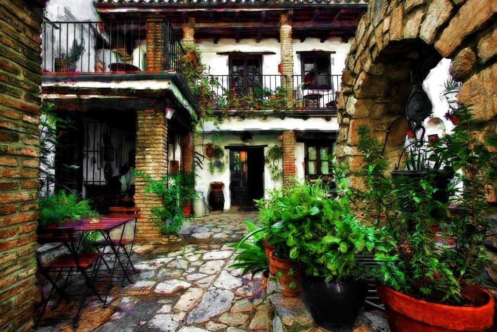 un patio al aire libre con plantas en un edificio en Posada La Casa Grande, en Jimena de la Frontera