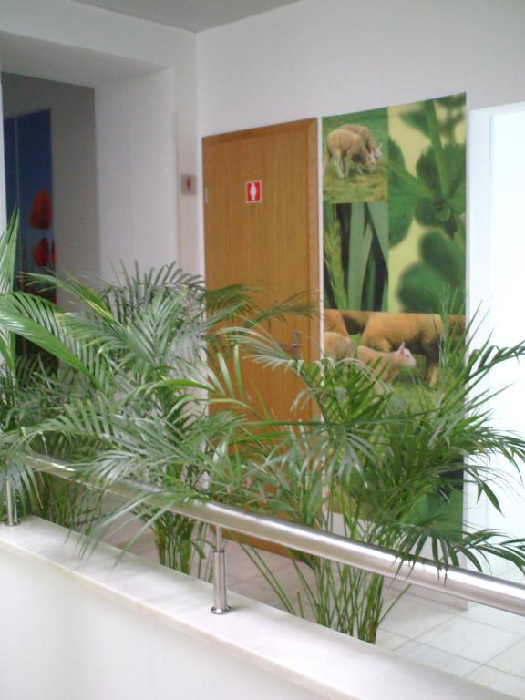 Fotografie z fotogalerie ubytování Hotel Serafim v destinaci Almodôvar