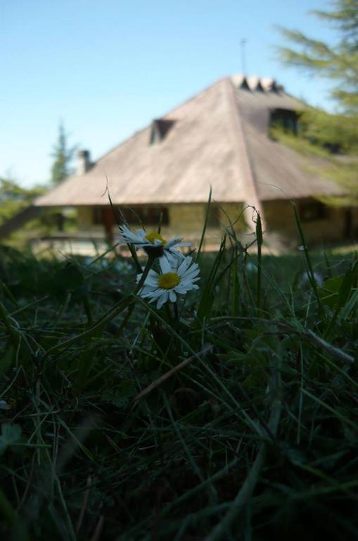 Zahrada ubytování Fonte dell'Aria