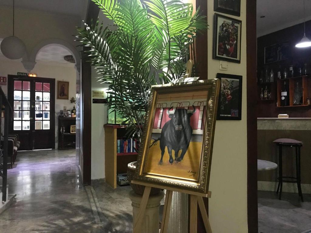 Fotografie z fotogalerie ubytování Hotel Nova Centro v destinaci Jerez de la Frontera