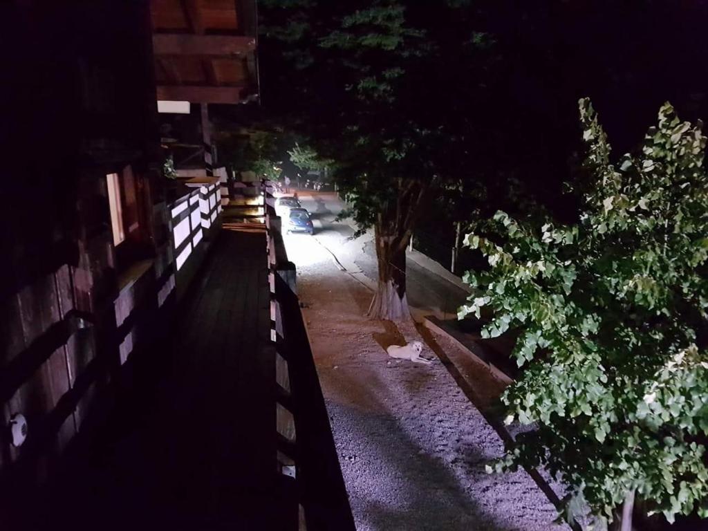 Foto dalla galleria di Agriturismo Pietro Falcone a Celico