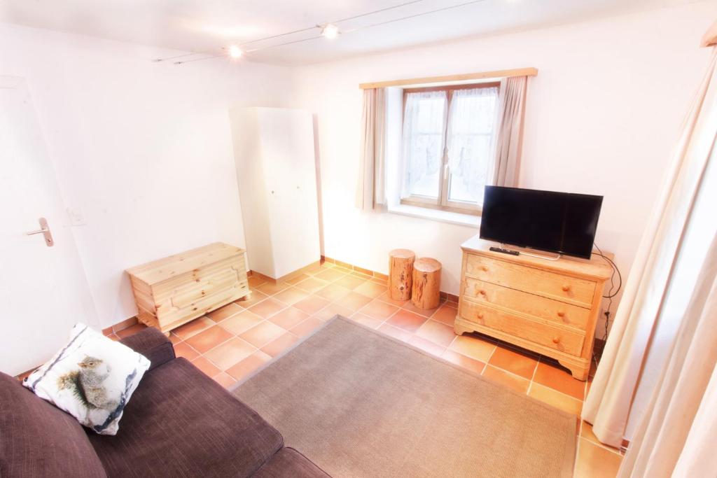 TV a/nebo společenská místnost v ubytování Apartment Dorfblick