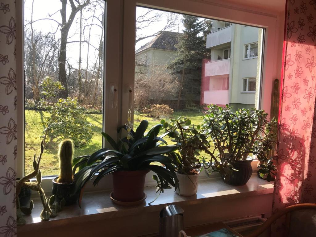 Zahrada ubytování Miles Hotel Berlin
