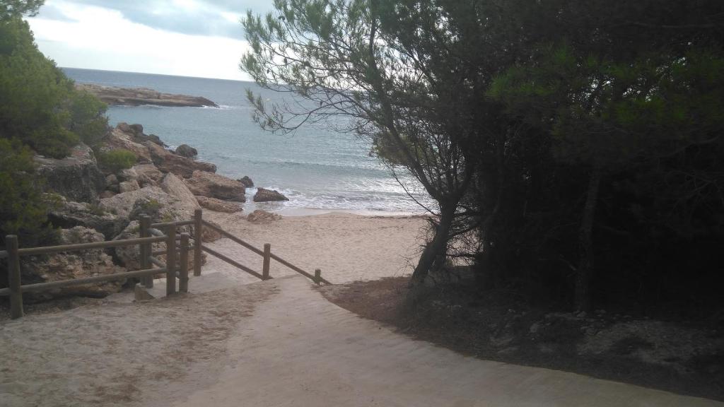Príroda v okolí apartmánu
