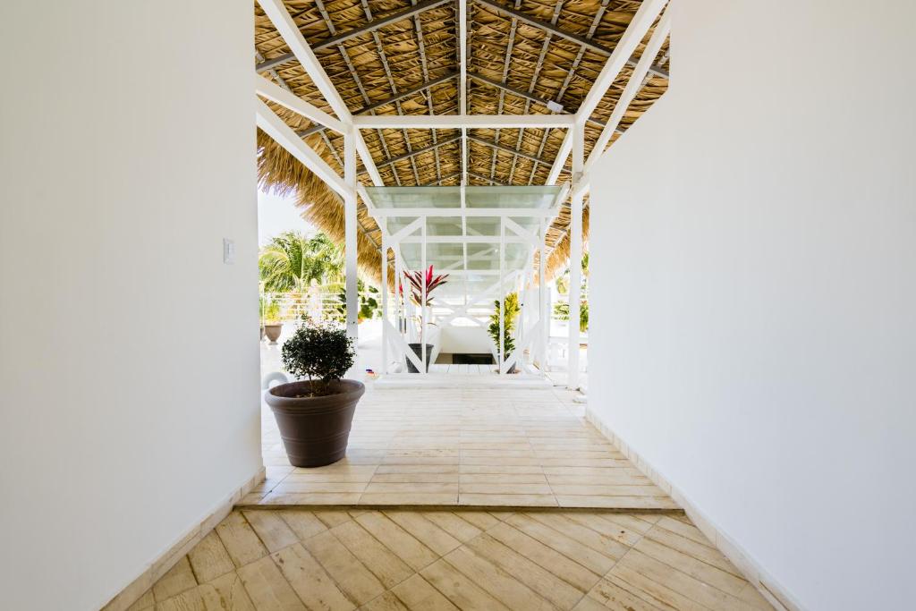 Fotografie z fotogalerie ubytování Terraza Art Villa Dominicana v destinaci Punta Cana