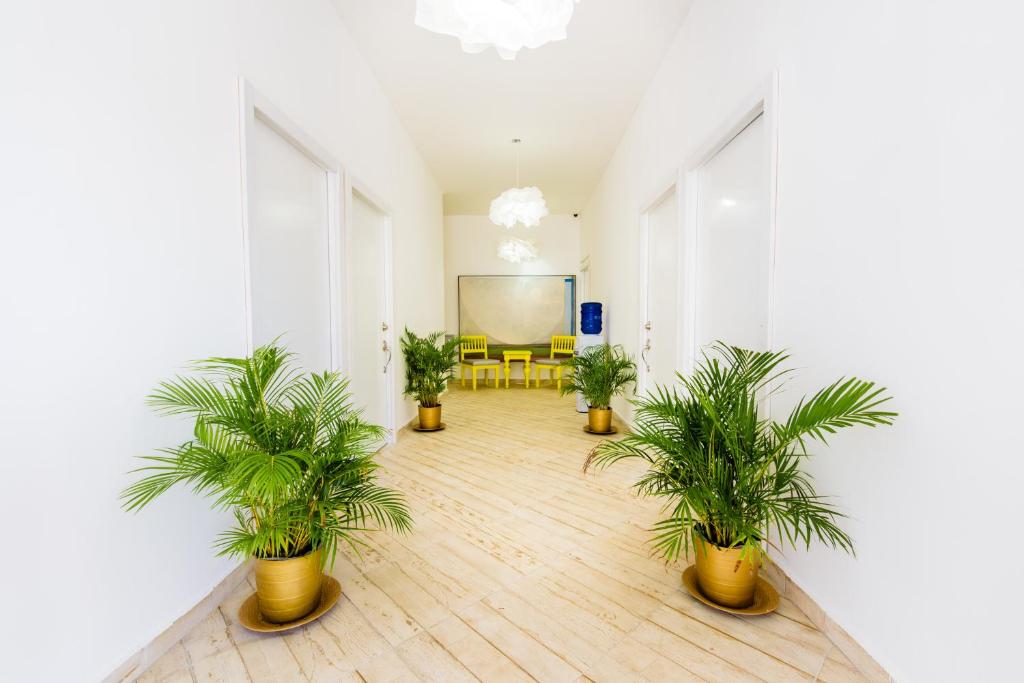 Fotografie z fotogalerie ubytování Terraza Art Villa Dominicana v destinaci Punta Cana