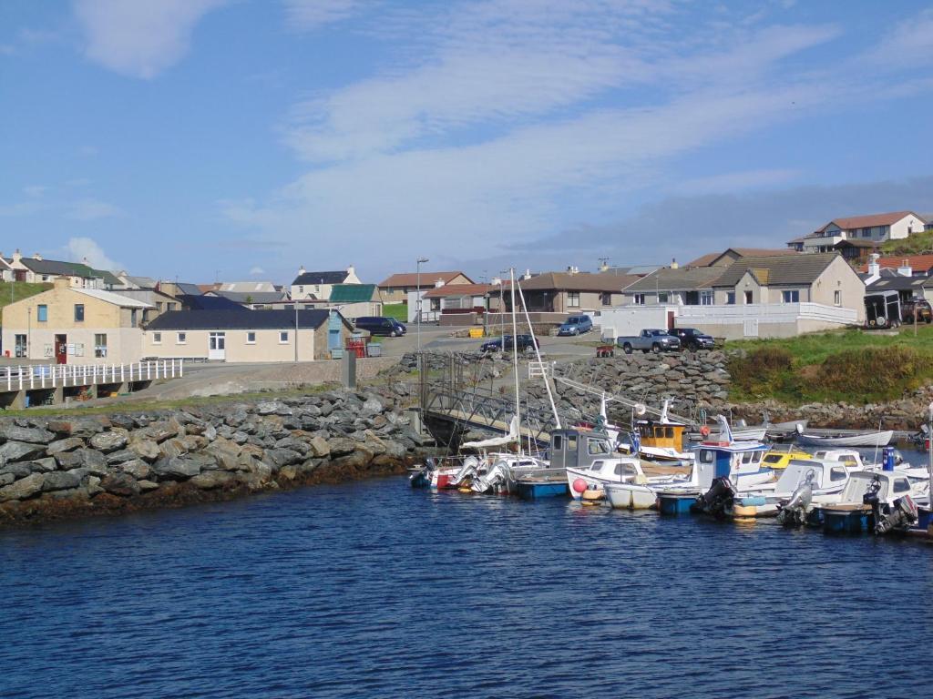 een groep boten is aangemeerd in een haven bij Da Milk Shop Holiday Home in Scalloway