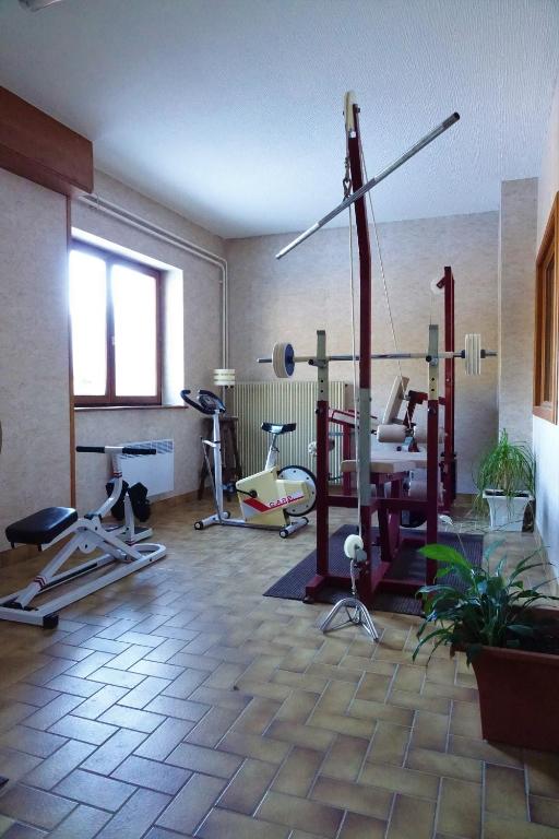 Fitness centrum a/nebo fitness zařízení v ubytování Hotel-Spa & Restaurant Logis Domaine Langmatt