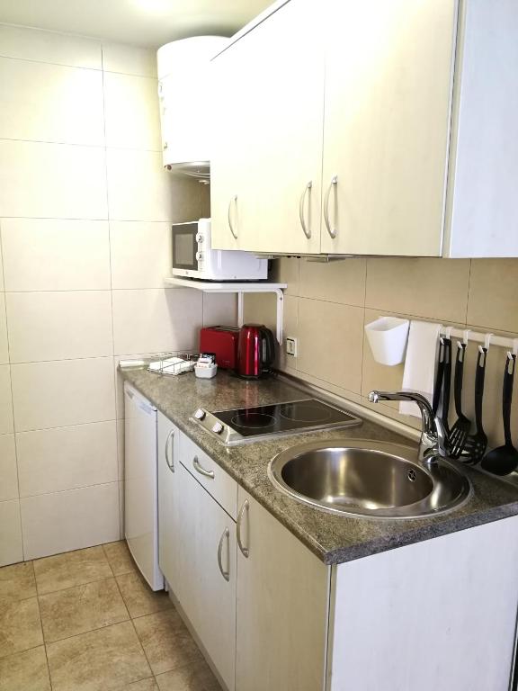 Kuchyňa alebo kuchynka v ubytovaní Hotel Apartamentos Aralso