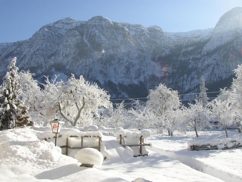 Dormio Gasthof Höllwirt v zime