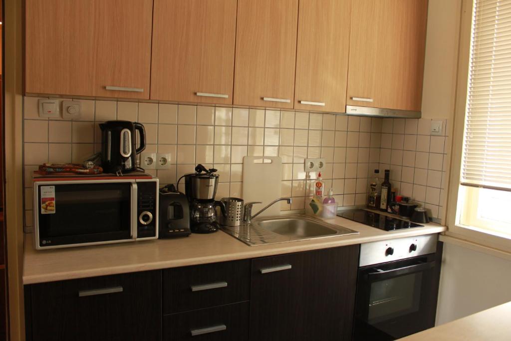 Kuchyň nebo kuchyňský kout v ubytování Sunny Central Apartment