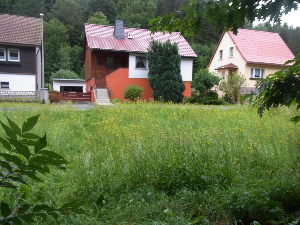 un grupo de casas en un campo de hierba en Fewo am Fuße der Bergbahn, en Mellenbach-Glasbach