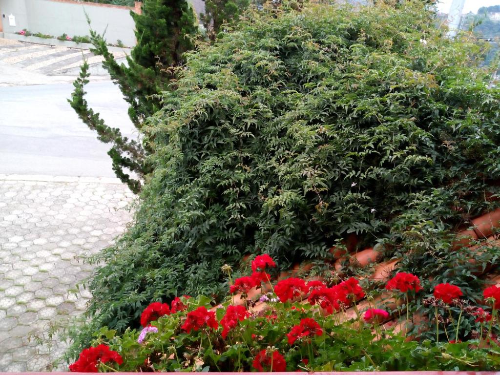  Pousada Benevento
