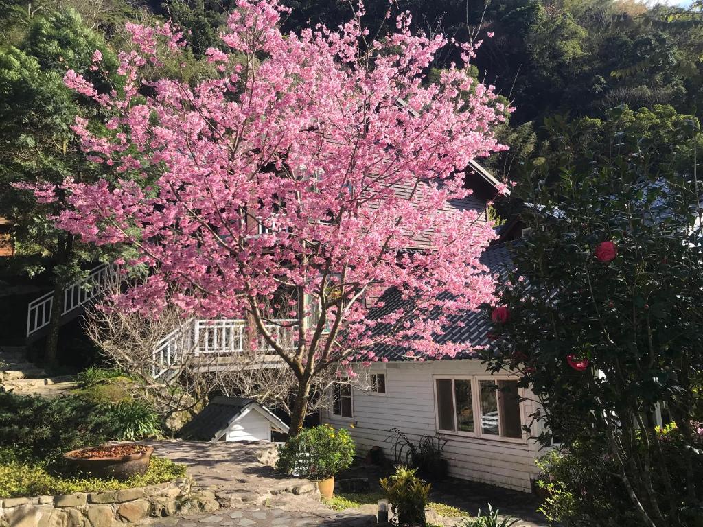 Zahrada ubytování 福緣山莊 桃園市民宿004號