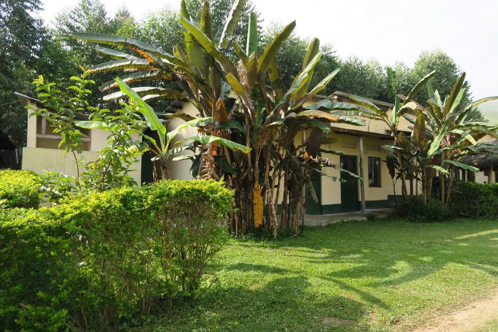 ein Haus mit einer Palme im Hof in der Unterkunft Uganda Lodge in Ruhanga