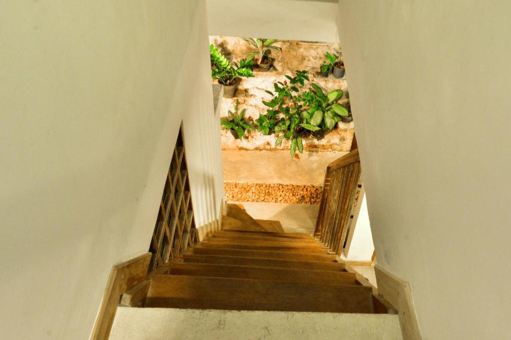 Fotografie z fotogalerie ubytování Fort Sapphire v destinaci Galle