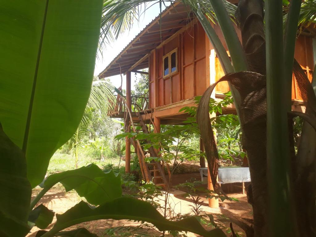 Zahrada ubytování Sigiri Aliya Tree house