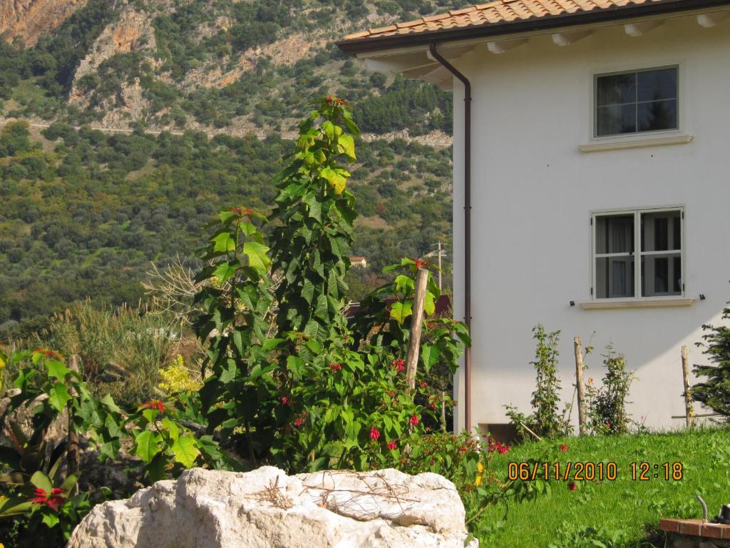 Widok na góry z tego obiektu B&B