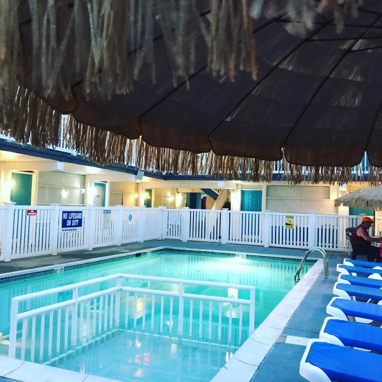Bazén v ubytování Bird of Paradise Motel nebo v jeho okolí