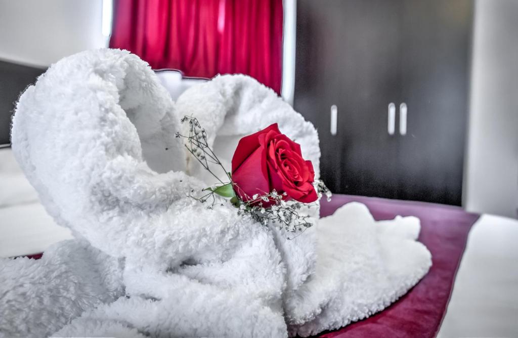 Hotel Elisabeta - Resim 19