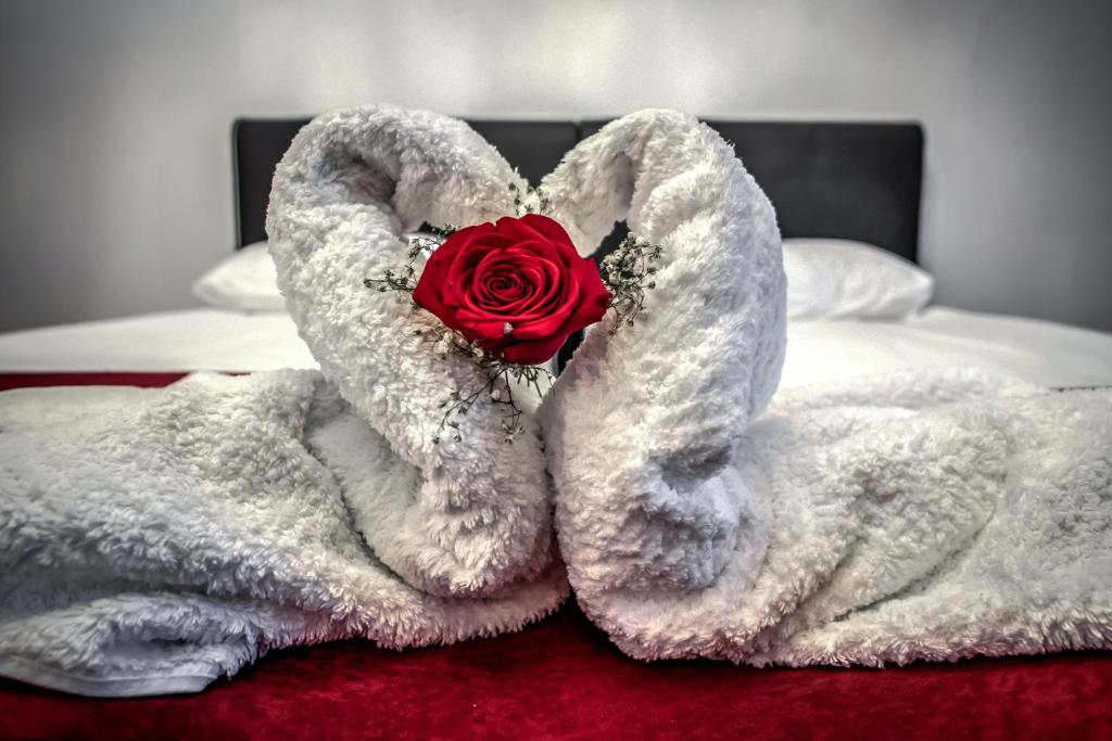 Hotel Elisabeta - Resim 20