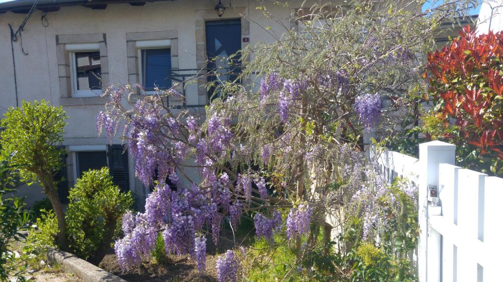 un arbusto de flores púrpuras delante de una casa en Les Giroflées en Coubon