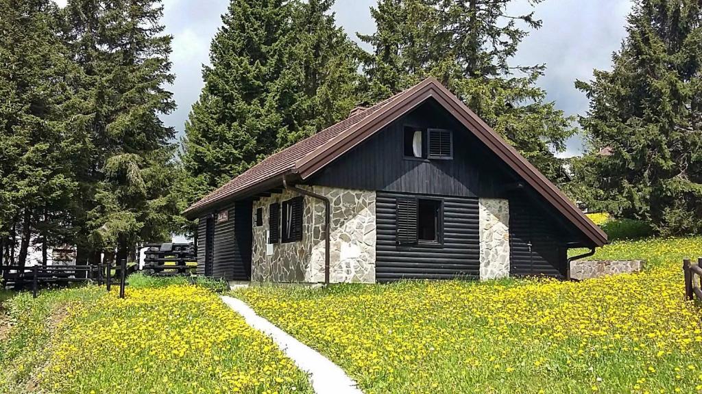 a small house in a field of yellow flowers at Chalet Klara in Resnik