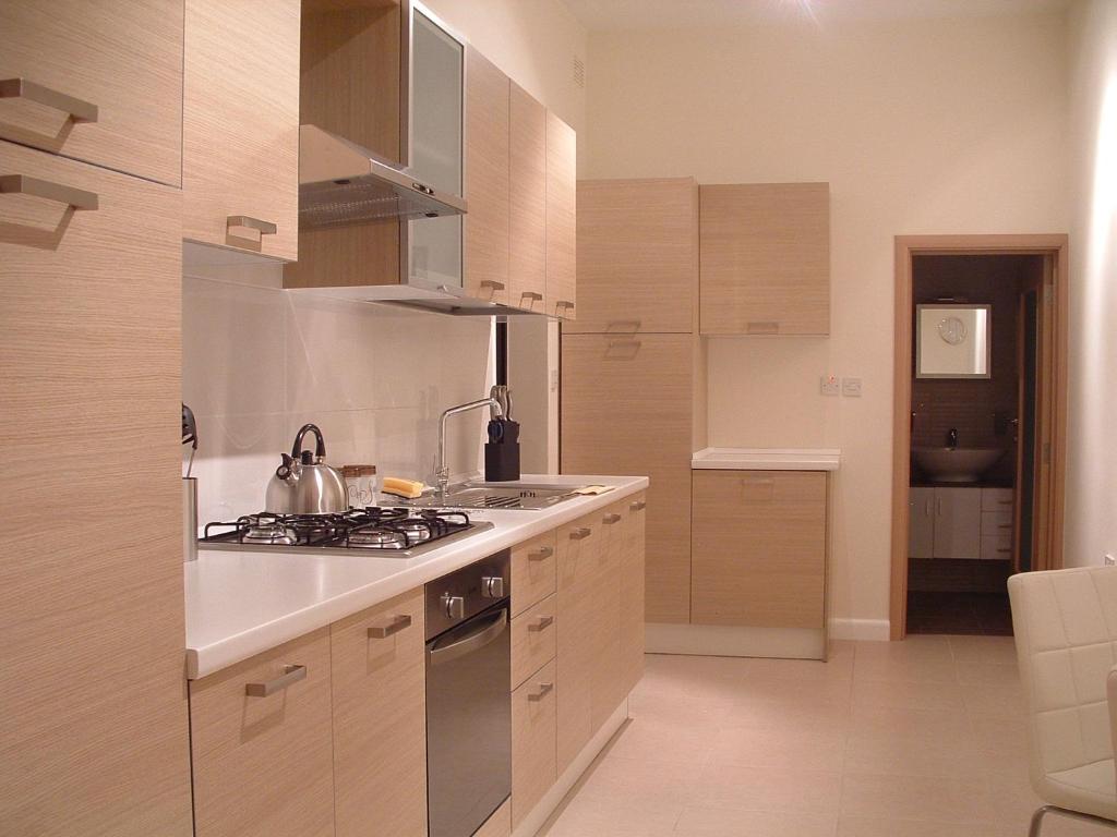 Cuina o zona de cuina de Triton Apartment