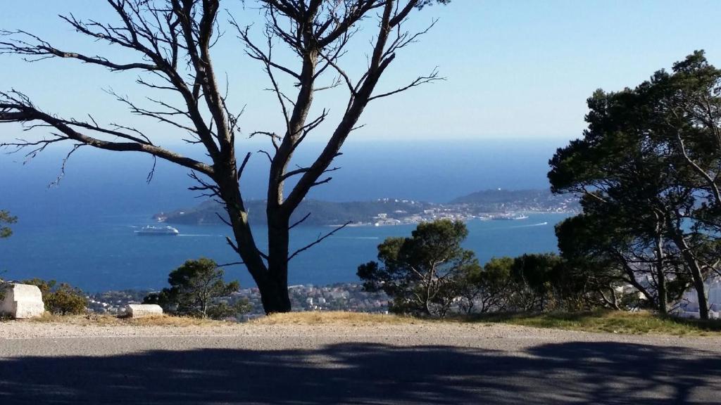 a tree on a hill with a view of the ocean at Le coteau del aime in Toulon