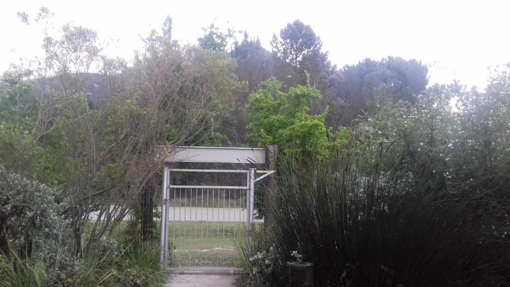 Imka Trinity Retreat - отзывы и видео