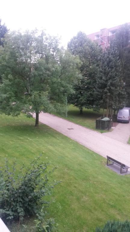 a park with a bench in the grass at Ferienwohnung Heinrich in Altenau