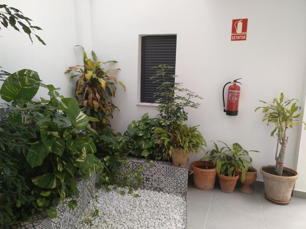 Zahrada ubytování Casa Aguilas