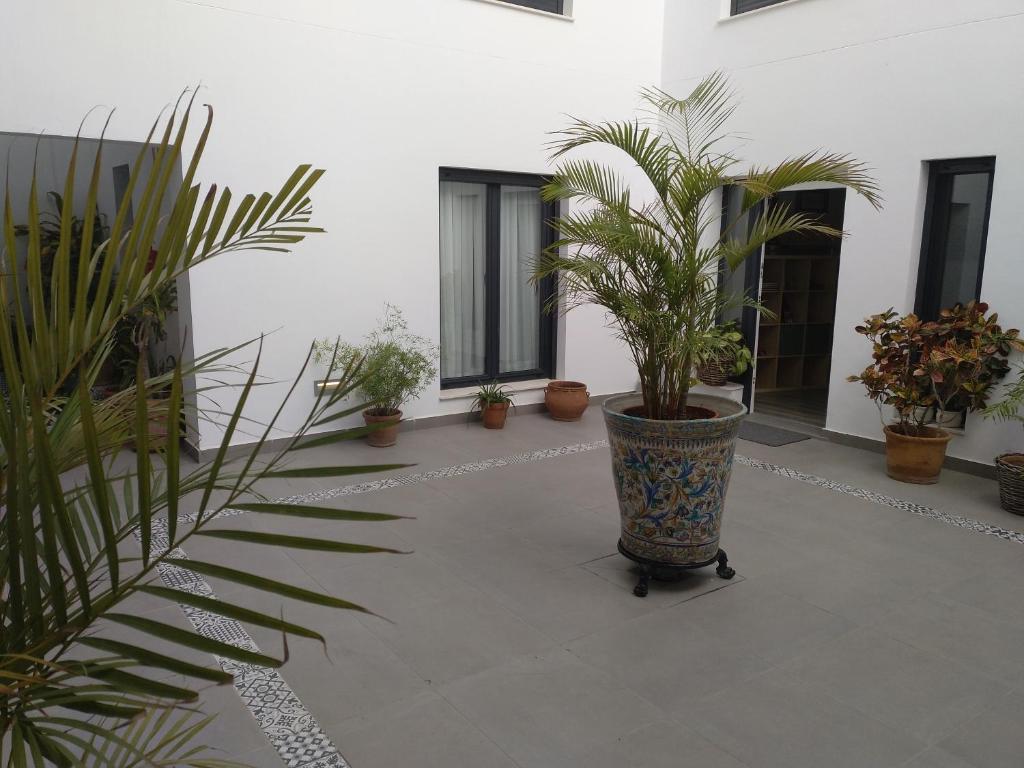 Zahrada ubytování Casa Aguilas