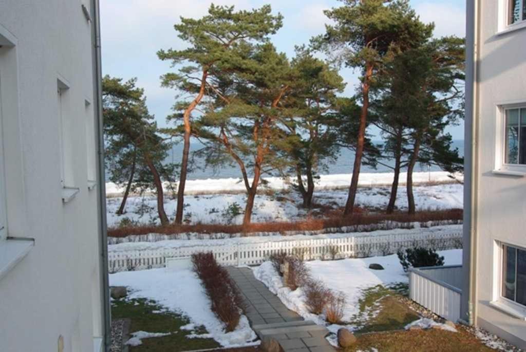 Blick aus einem Fenster auf einen Hof mit Bäumen und Schnee in der Unterkunft Villa Strandperle, Whg. 10 in Bansin