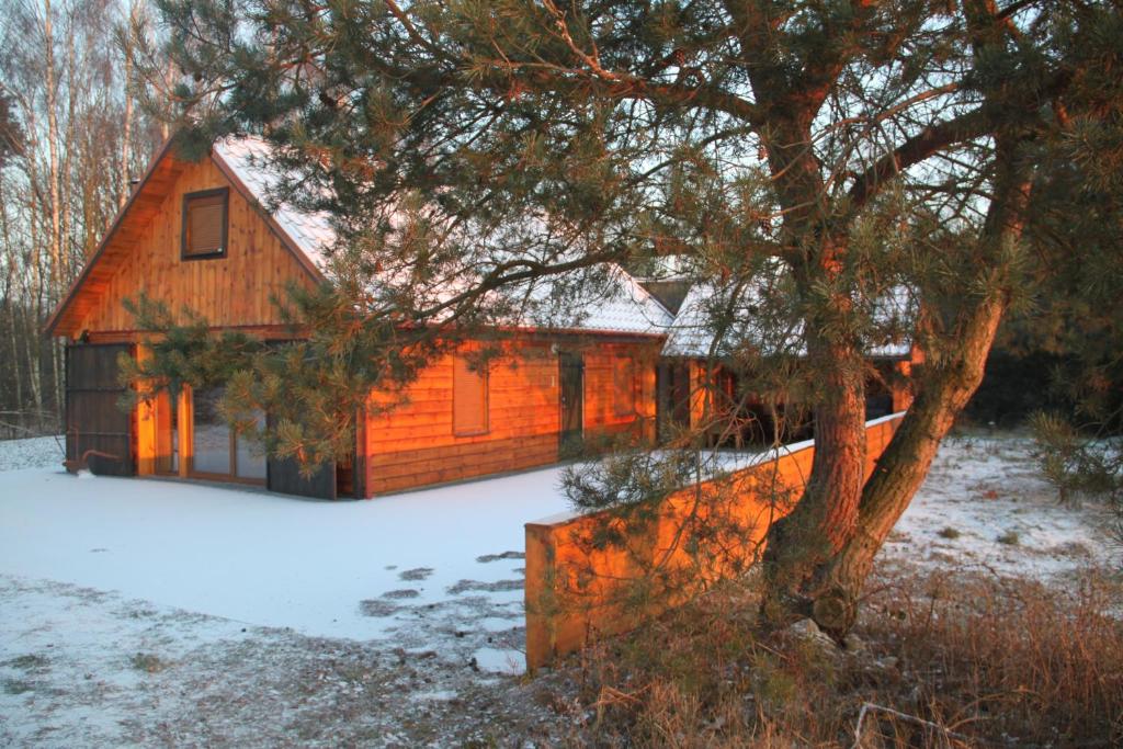 une cabane en rondins dans la neige avec un arbre dans l'établissement Winnica Dębogóra, à Woldenberg Neumark