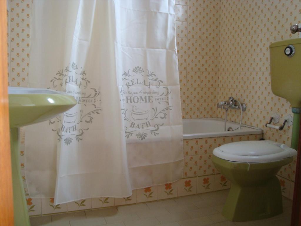 a bathroom with a toilet and a shower curtain at Casa Furt@do in Burgau