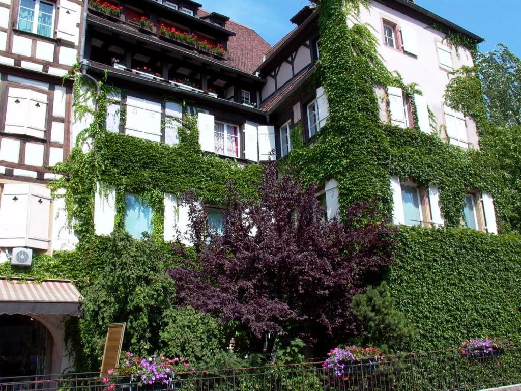 Chez Pauline – photo 44