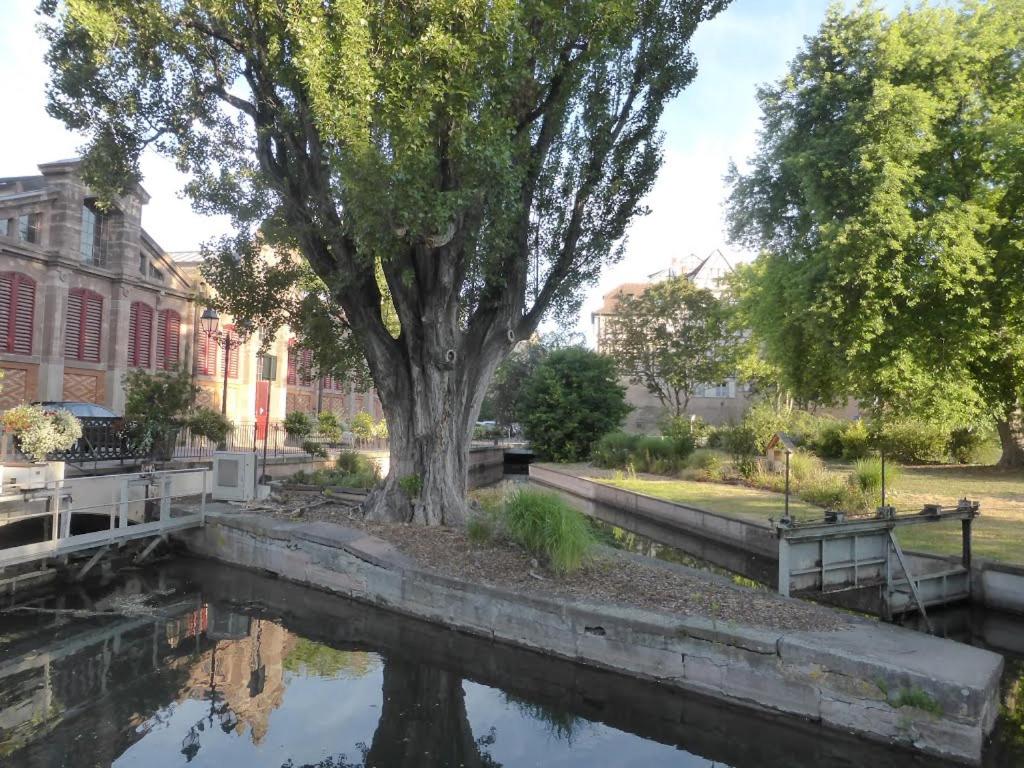 Chez Pauline – photo 49