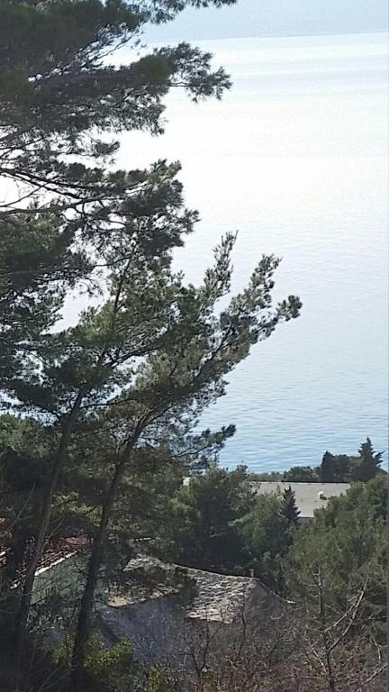 Príroda v okolí apartmánu