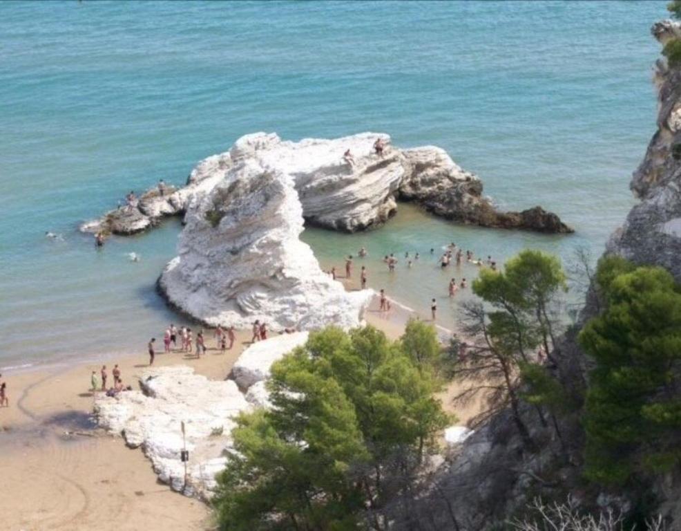 un gruppo di persone in piedi in acqua in una spiaggia di Kimera Beach Apartments a Vieste