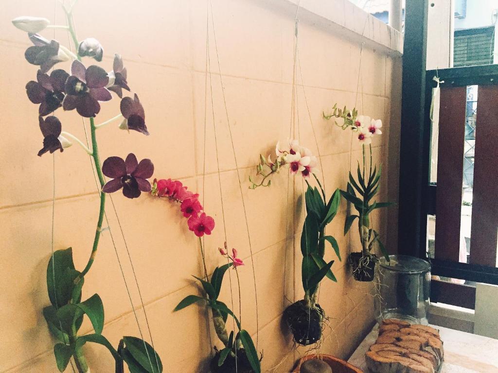 un gruppo di piante in vaso su un muro di Stay Hostel a Bangkok