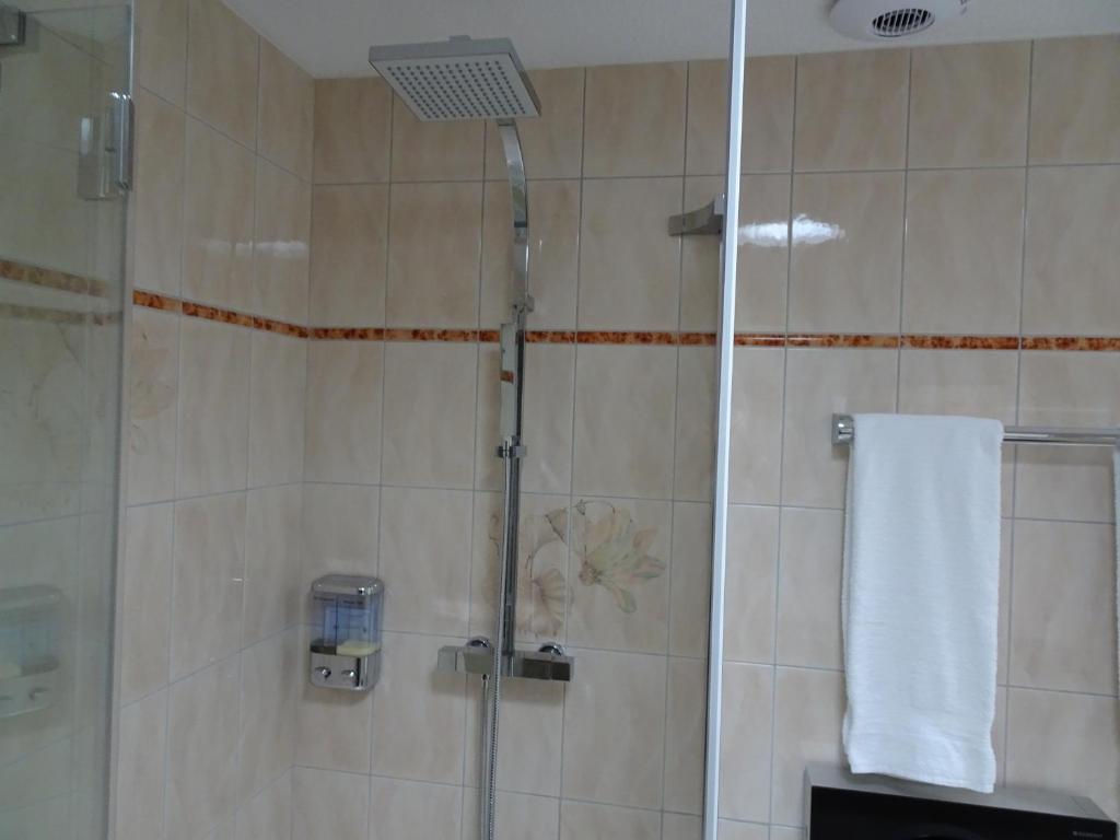 Koupelna v ubytování B & B Hartenfels 73