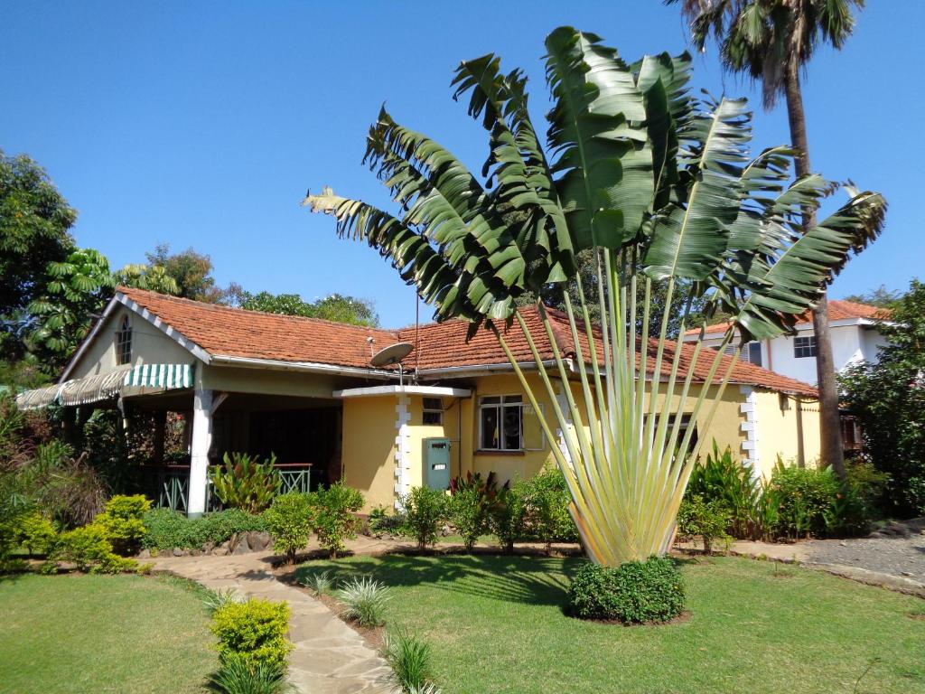 a palm tree in front of a house at The Clarice House in Kisumu