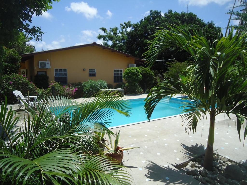 una piscina frente a una casa con palmeras en Happy Turtle Apartments, en Willemstad