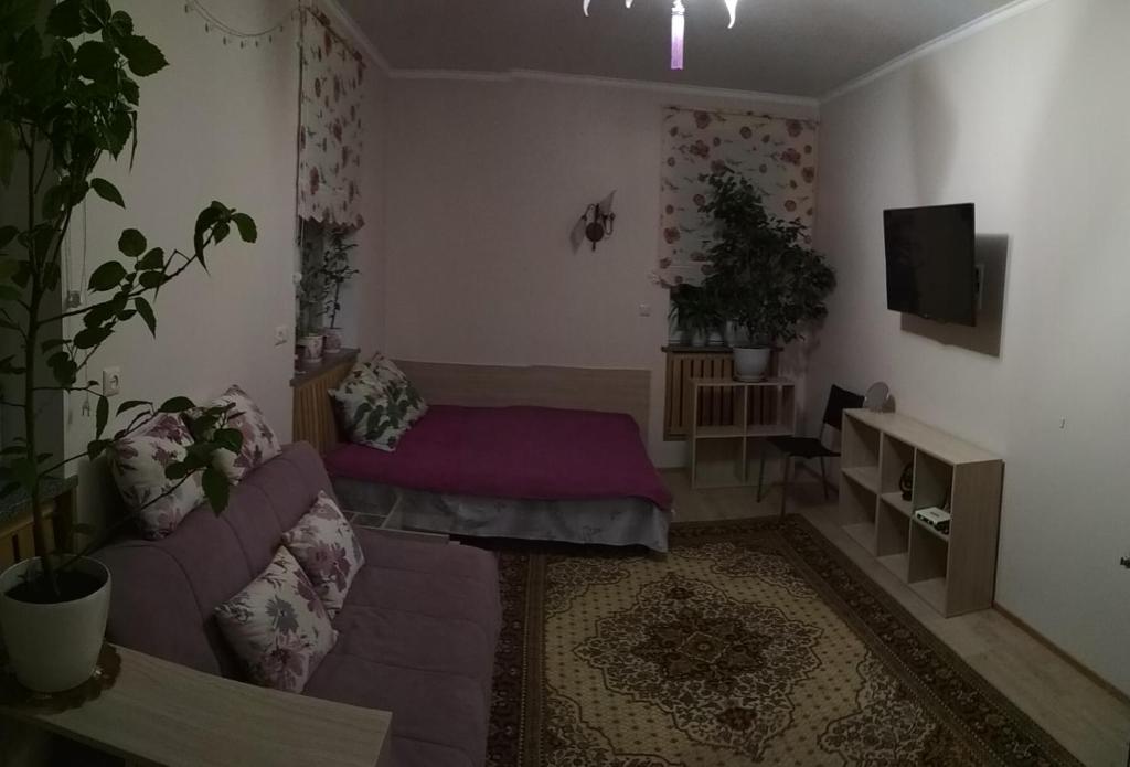 Televiisor ja/või meelelahutuskeskus majutusasutuses Guest House Dacha