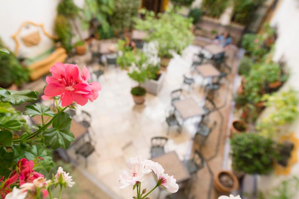 Eurostars Maimonides - Resim 22