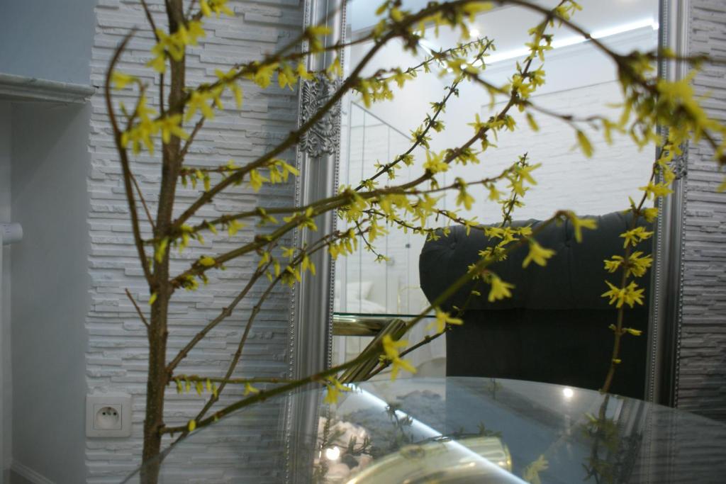 Suitetrails - Lovely apartment- Poznanska 16